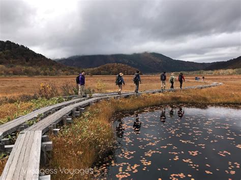 Gunma: How to enjoy the Autumn Foliage at Oze National Park - Vikingess Voyages