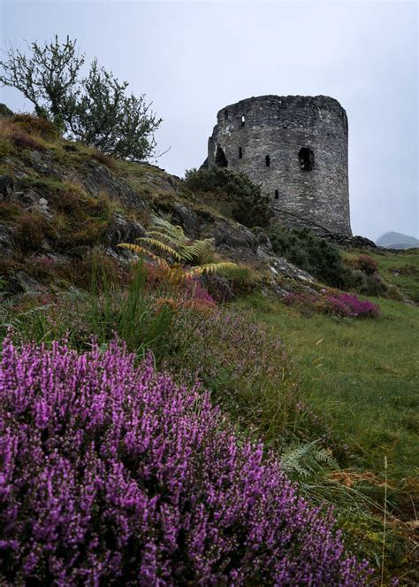 The Dolbadarn Castle · Free Stock Photo