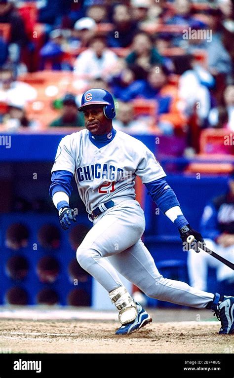 Sammy Sosa, Chicago Cubs during the record breaking season in 1998 ...