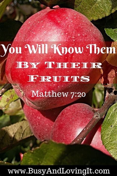 You Will Know Them By Their Fruits - Busy and Loving It!