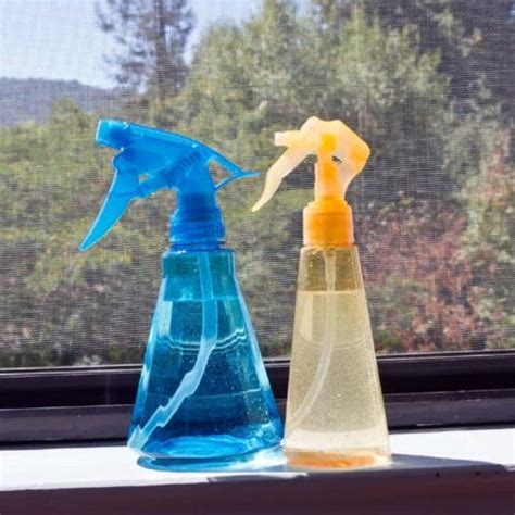 16 Window Cleaning Tips for the Cleanest Windows EVER