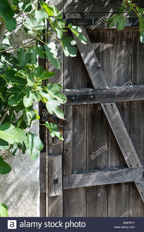 Closed garden gate Stock Photo, Royalty Free Image: 30611727 - Alamy