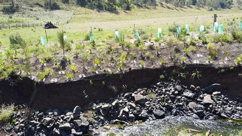 Understanding Erosion and Riverbank Rehabilitation — BRRVLN