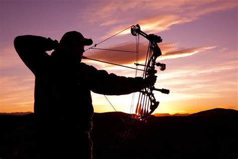 How to Shoot a Compound Bow – 6 Simple Steps to Follow – Outdoor Troop