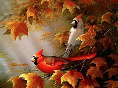 (123) Facebook Cardinal Birds, Red Birds, Birds Pics, Winter Cardinal ...