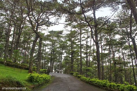 7 Things to Do at Camp John Hay, Baguio City | The Poor Traveler Blog