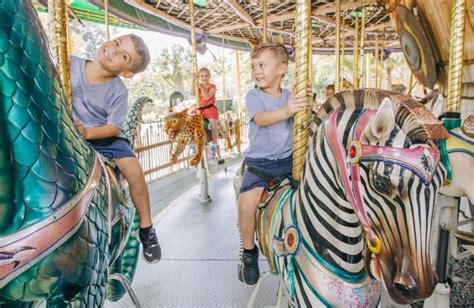 Tampa Zoo - tickets, prices, discounts, Safari Tram, Roaring Springs ride