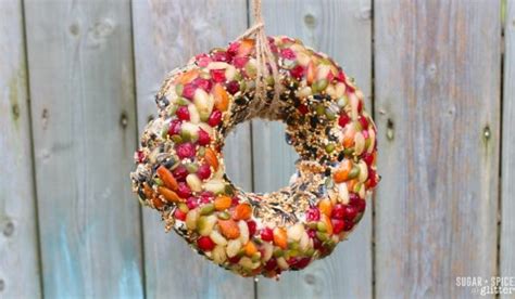 Kid-Made Bird Feeder Wreath (with Video) ⋆ Sugar, Spice and Glitter