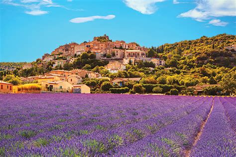 Purple Reign: Lavender and Provence - France Today