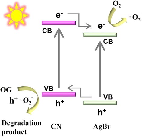 Schematic illustration of the OG photodegradation reaction mechanism | Download Scientific Diagram