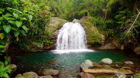 blue mountain jamaica waterfall