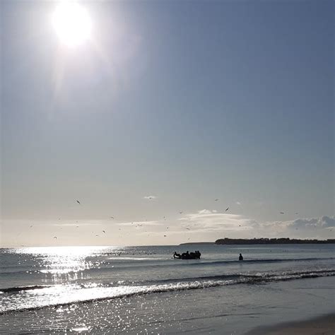 Playa de Puerto Madryn - Puerto Madryn: Working hours, Activities ...