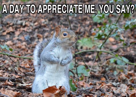 Squirrel Appreciation Day! — UofG PGR Blog