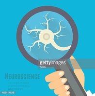 Neuroscience Flat Illustration. Nervous System Research Concept Stock ...