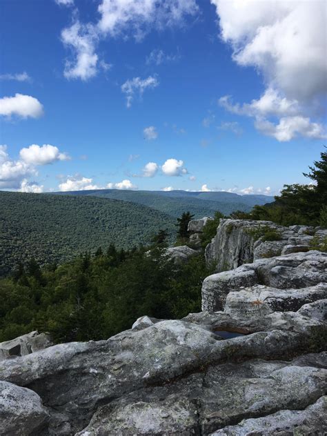 Hiking Dolly Sods West Virginia. Atop Lion Head. #hiking #camping #outdoors #nature #travel # ...