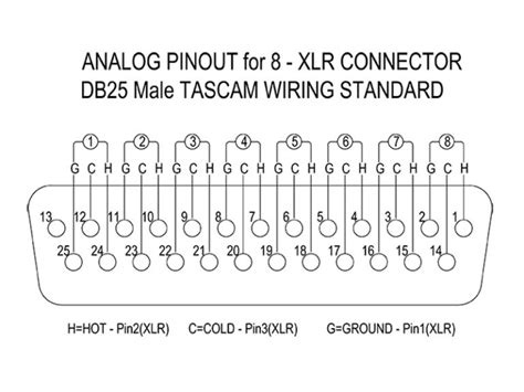 DBT02 Analog 8-Way DB25 to XLR Male Multicore Cable - PropAudio