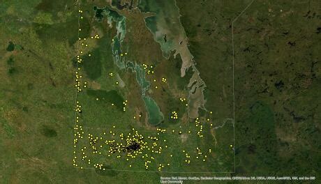 Manitobans asked to be on lookout for elusive wild pig | CBC News