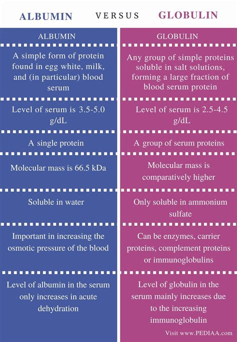 Difference Between Albumin and Globulin - Pediaa.Com | Biology facts, Basic anatomy and ...