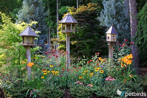 Found on Google from petbirds.gr | Backyard birds sanctuary, Small gardens, Garden birdhouses