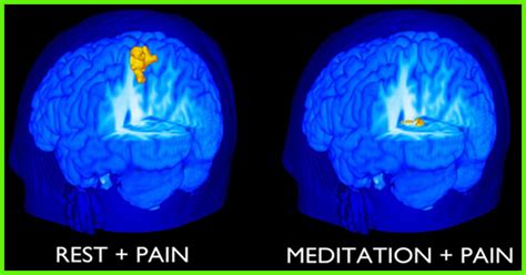 5 Types Of Brain Waves And Effects Of Meditation On Them