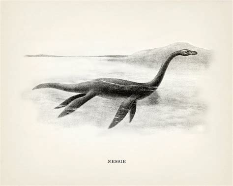 Nessie, Loch Ness Monster : Monster Series OE-27 Fine Art Print of a Vintage Natural History ...