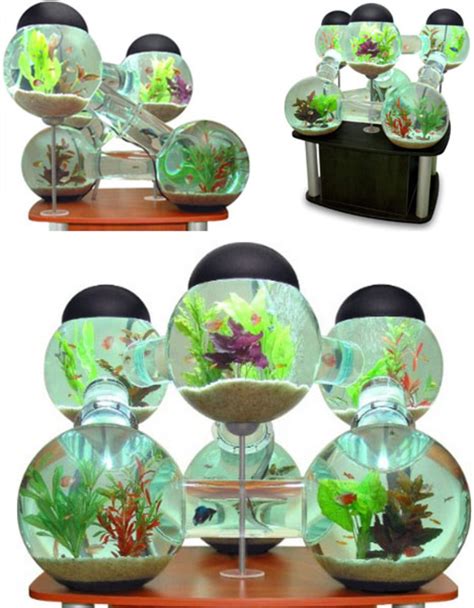 5 Cool Modern Fish Tank Designs | Designs & Ideas on Dornob