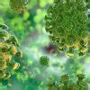 How African Countries are Dealing with Coronavirus?
