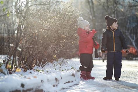 Premium Photo | Children in winter park play