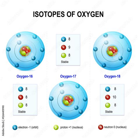 Isotopes of oxygen Stock Vector | Adobe Stock