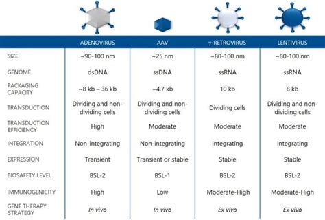 Viral Vector and gene therapy basics summarized - Biovian