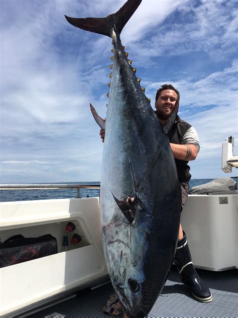 Tuna Fishing Charters | Portland Fishing Charters by Red Hot Fishing ...