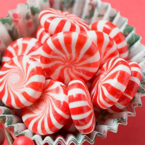 Campino sweets are making a return, here's where you can buy them | OK! Magazine