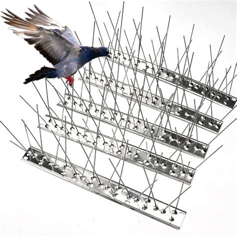 Buy GeBot Bird Spikes for Small Birds, Bird Deterrent Spikes Stainless Steel Pigeon Spikes for ...