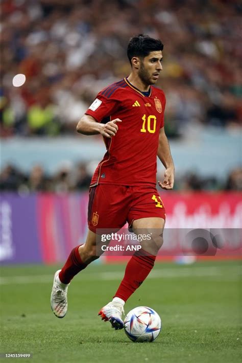 AL KHOR - Marco Asensio of Spain during the FIFA World Cup Qatar 2022... News Photo - Getty Images