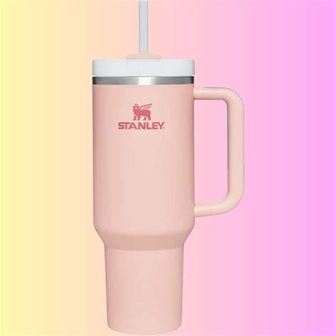 A Pink-tastic Showdown: Comparing 5 Stanley Tumblers For The Ultimate ...