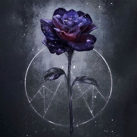 Dark Purple Rose Wallpapers - Top Free Dark Purple Rose Backgrounds - WallpaperAccess