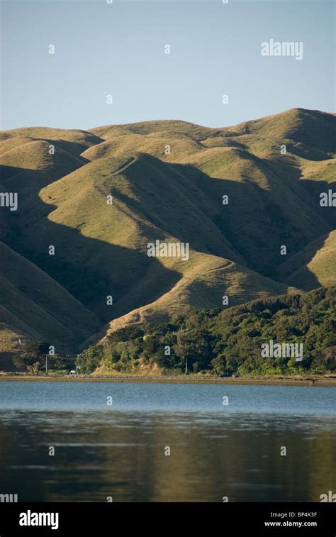 Evening light on hills beside Pauatahanui Inlet, Porirua harbour, Wellington, North Island, New ...