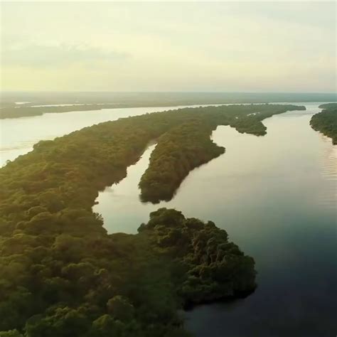 Parque Nacional do Jaú | Outdoor, River, Coastline