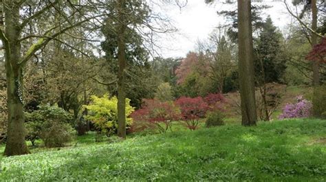 Photos of Batsford Arboretum