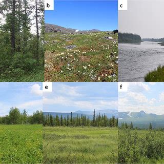 Photo of vegetation types under study. a Forest. b Tundra. c Sloping... | Download Scientific ...