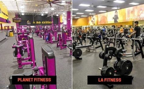 Planet Fitness vs LA Fitness: Differences, Pros, Cons ...