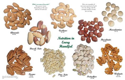 1 oz servings of different types of tree nuts. (almonds, cashews ...