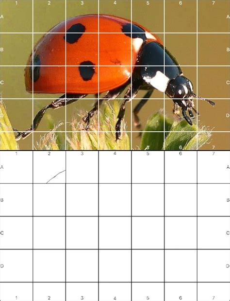 GriDraw + Free Online Grid Drawing Tool, Transparent Grid Overlay For ...