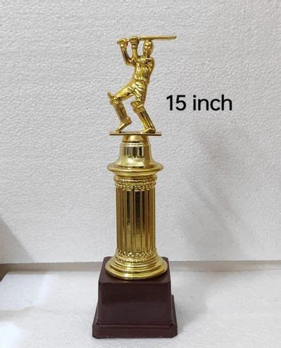 Golden Fiber Cricket Trophy, Shape: Batsman at Rs 220 in Raipur | ID ...