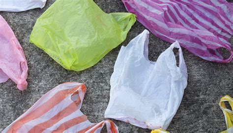 Your Ultimate Guide To Eco-Friendly Plastic Bag Alternatives