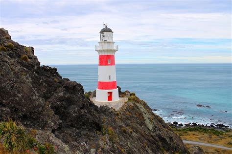 Cape Palliser lighthouse, east coast, North Island, New Zealand. | Lighthouse, Lighthouse ...