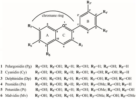 Production of Anthocyanins in Grape Cell Cultures: A Potential Source of Raw Material for ...