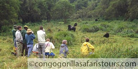 Congo Gorilla Trekking Safari Rules