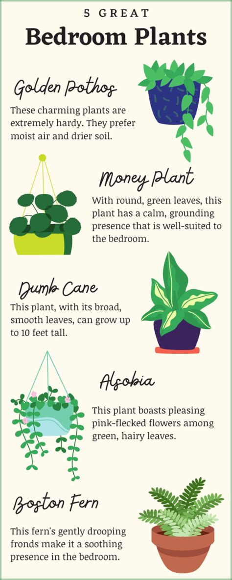 Air-Purifying Bedroom Plants That Can Survive Low Light - Dengarden