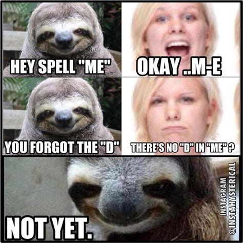 Not yet | Rape Sloth | Know Your Meme